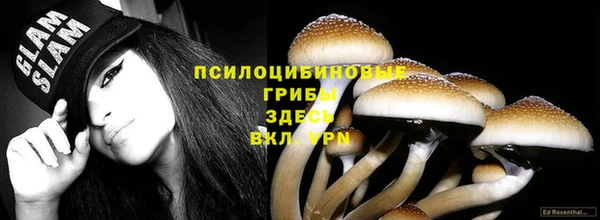 тгк Аркадак