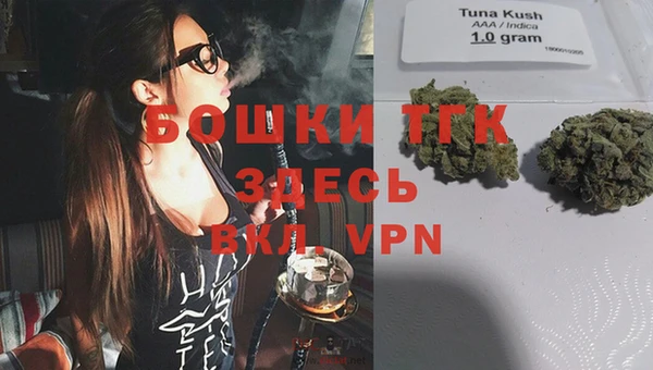 тгк Аркадак