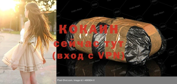 прущая мука Арсеньев