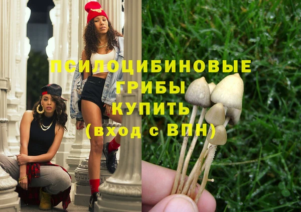 тгк Аркадак